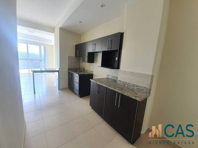 #3 - Apartamento para Alquiler en Tegucigalpa - Distrito Central 