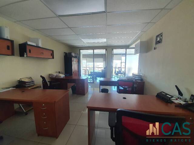Oficina para Alquiler en Tegucigalpa - 5