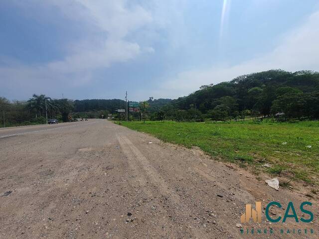 #46 - Terreno para Venta en Santa Cruz de Yojoa - Cortés - 2