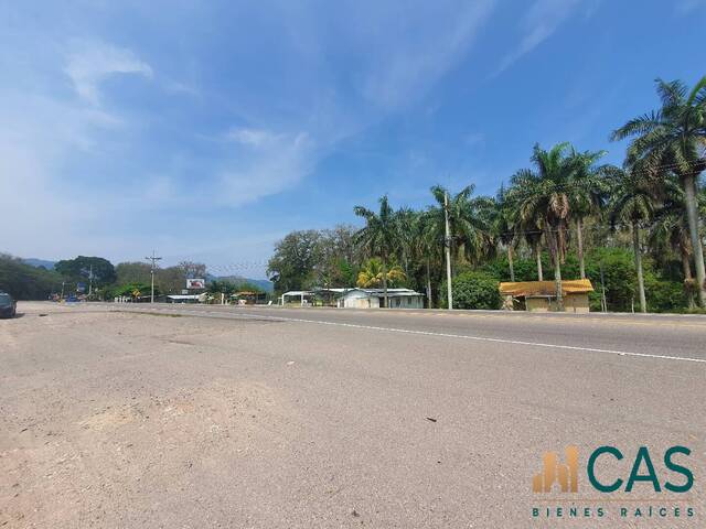 #46 - Terreno para Venta en Santa Cruz de Yojoa - Cortés - 3