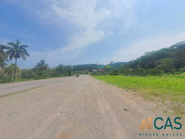 Terreno para Venta en Santa Cruz de Yojoa - 4