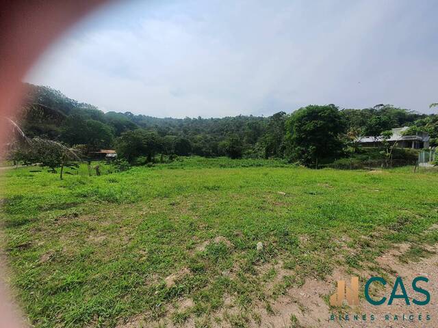 Terreno para Venta en Santa Cruz de Yojoa - 5
