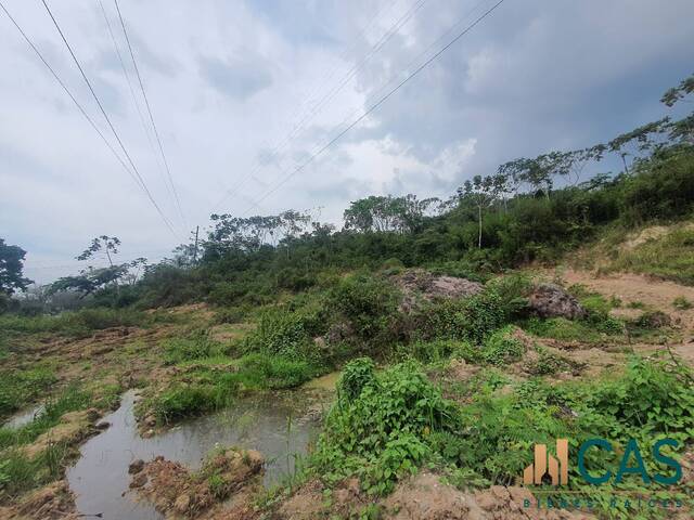 Terreno para Venta en Santa Cruz de Yojoa - 4