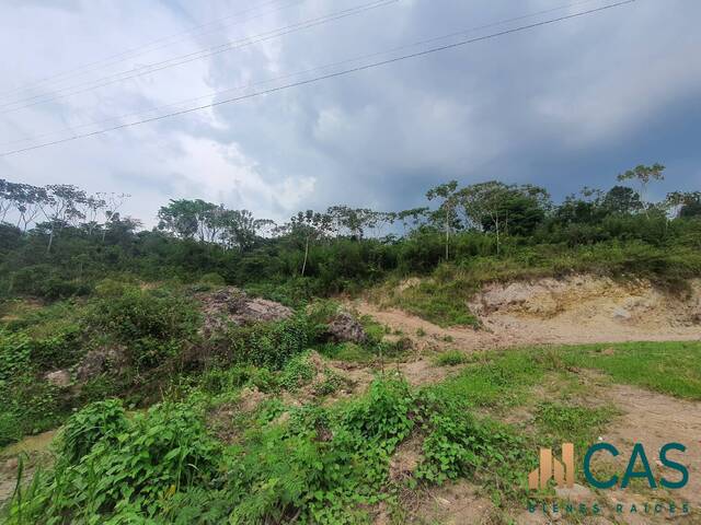 Terreno para Venta en Santa Cruz de Yojoa - 5
