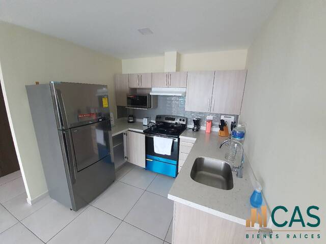 Apartamento para Alquiler en Tegucigalpa - 4