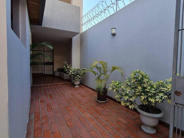 Apartamento para Alquiler en Tegucigalpa - 4