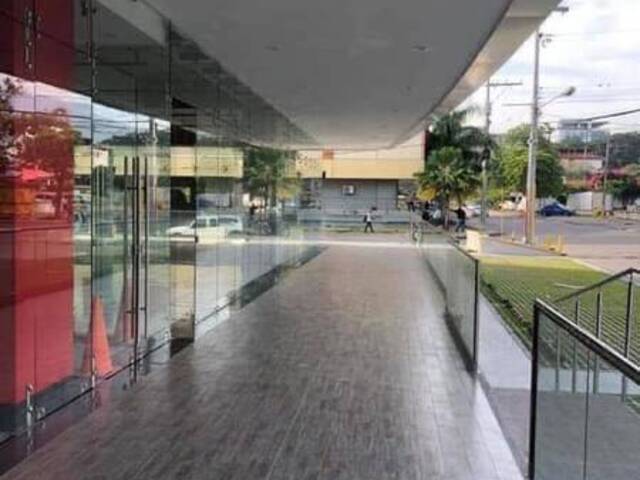 Oficina para Alquiler en San Pedro Sula - 5