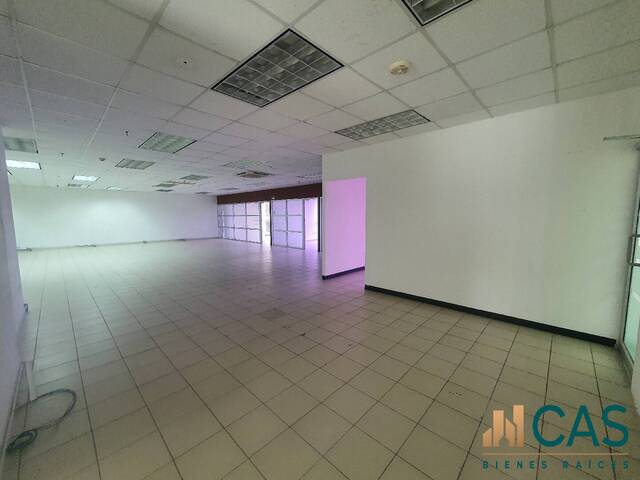 Oficina para Alquiler en Tegucigalpa - 4