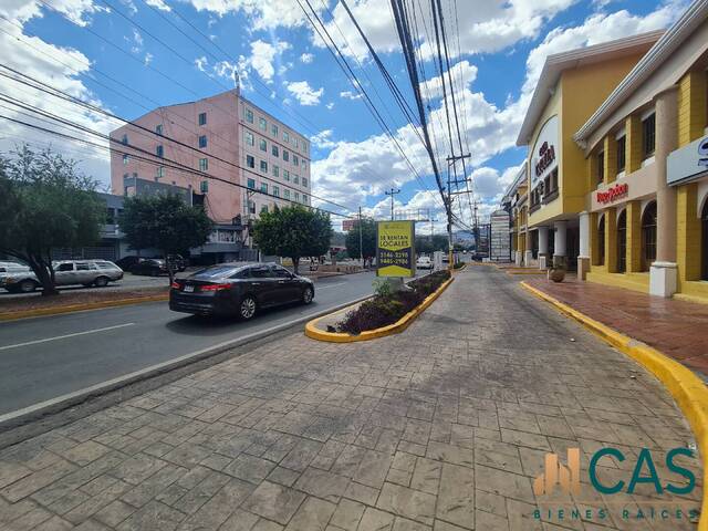 Oficina para Alquiler en Tegucigalpa - 4