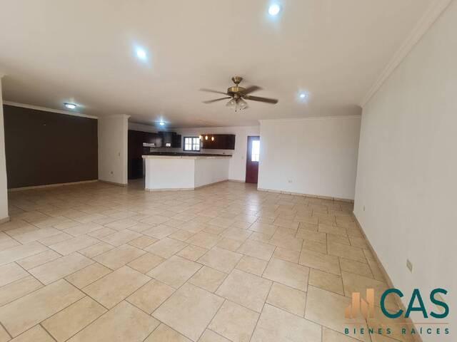 #172 - Apartamento para Alquiler en Tegucigalpa - Distrito Central 