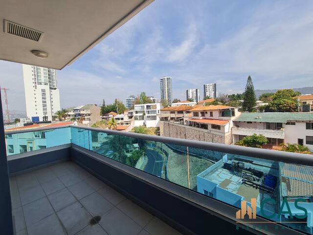 #117 - Apartamento para Alquiler en Tegucigalpa - Distrito Central 