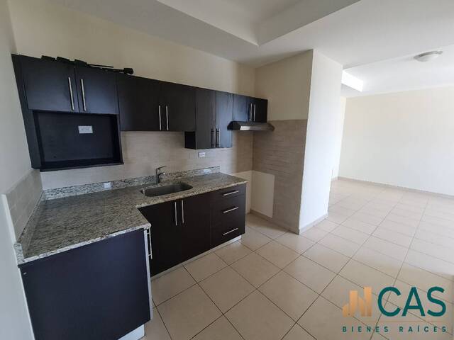 Apartamento para Alquiler en Tegucigalpa - 4