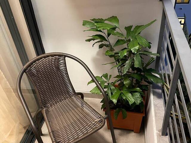 #221 - Apartamento para Alquiler en Tegucigalpa - Distrito Central 