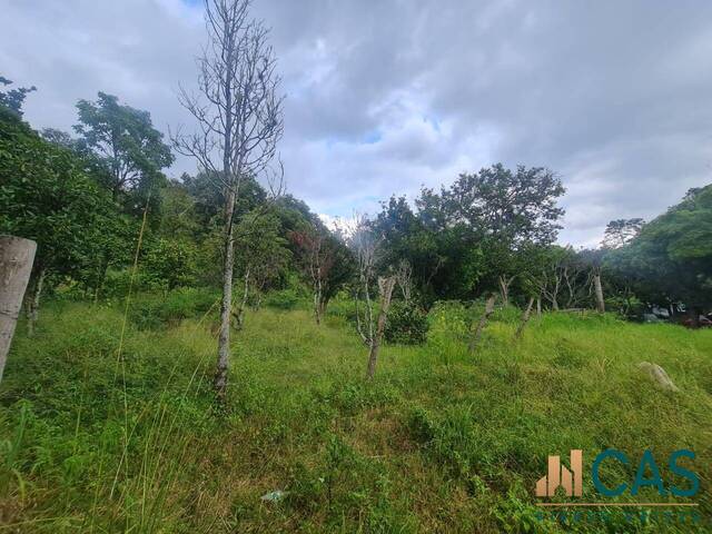 Terreno para Venta en Tegucigalpa - 4