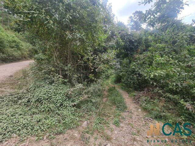 Terreno para Venta en Tegucigalpa - 4
