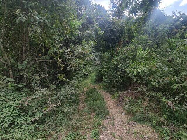 Terreno para Venta en Tegucigalpa - 5