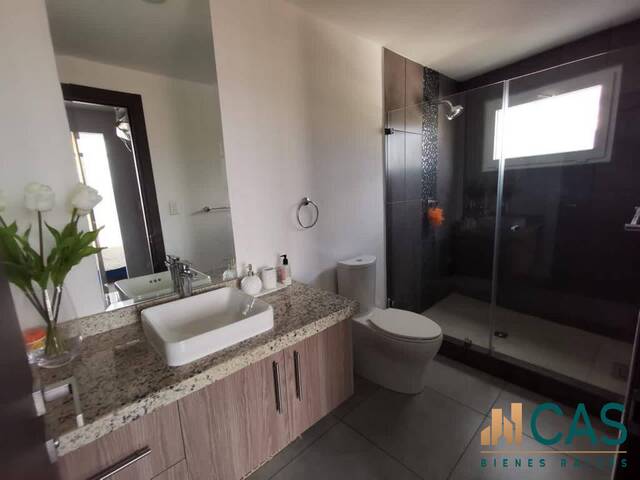 Apartamento para Alquiler en Tegucigalpa - 4