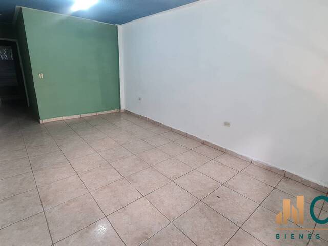 #312 - Apartamento para Alquiler en Tegucigalpa - Distrito Central 