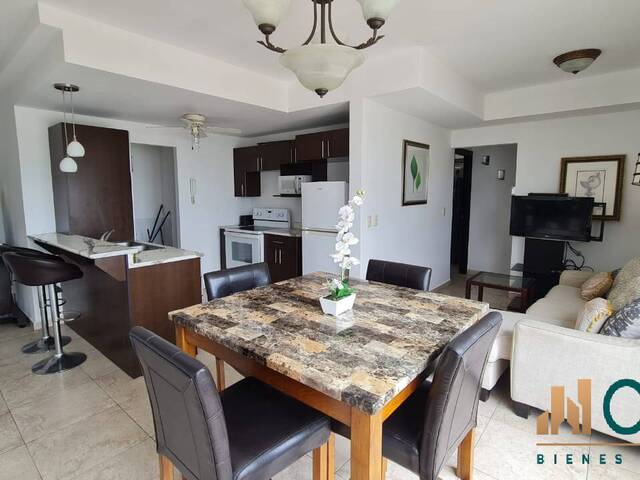 #316 - Apartamento para Alquiler en Tegucigalpa - Distrito Central 