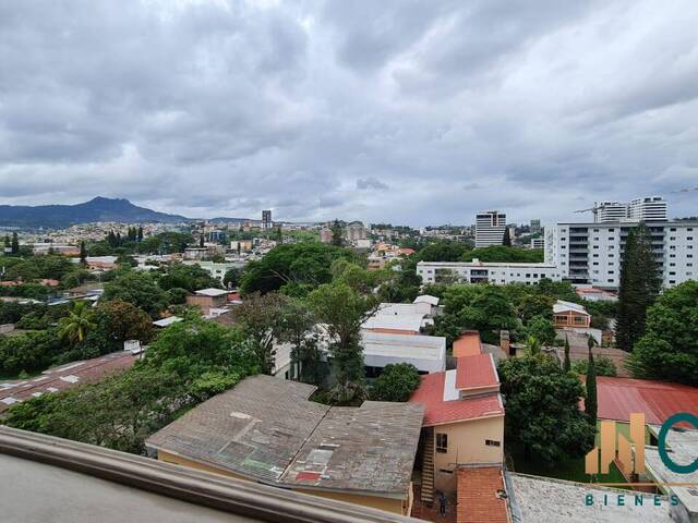 #316 - Apartamento para Alquiler en Tegucigalpa - Distrito Central 