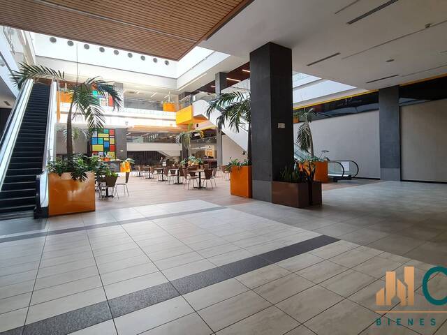 Punto Comercial para Alquiler en San Pedro Sula - 4