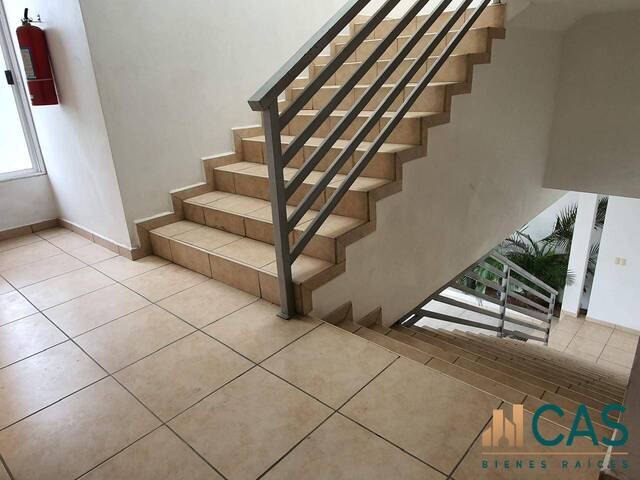Apartamento para Alquiler en Tegucigalpa - 4