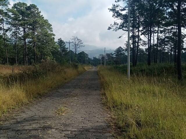 Terreno para Venta en Tegucigalpa - 4