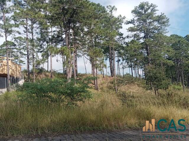 Terreno para Venta en Tegucigalpa - 5