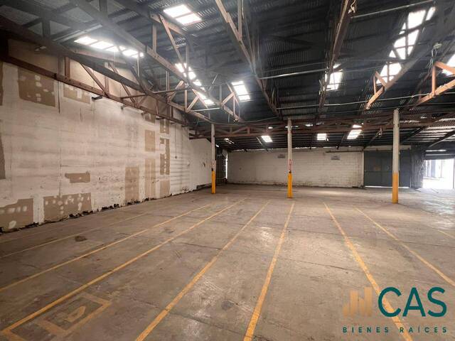 Bodega para Alquiler en Tegucigalpa - 4