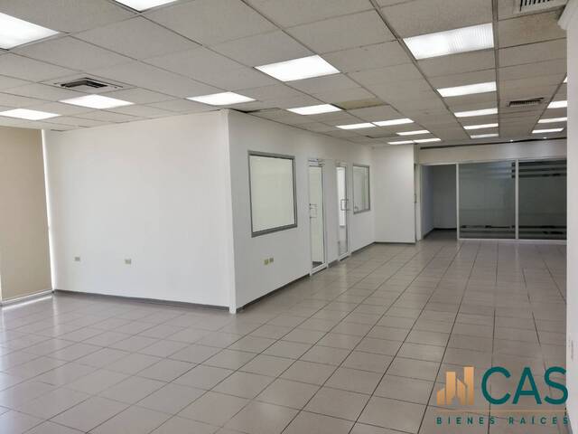 Oficina para Alquiler en San Pedro Sula - 2