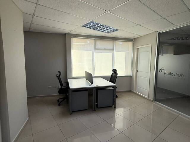Oficina para Alquiler en Tegucigalpa - 4