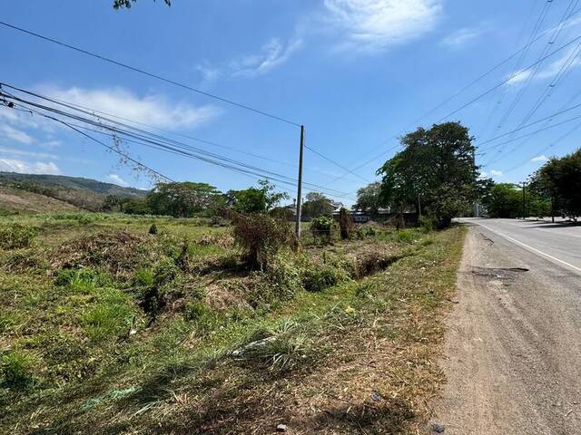 #530 - Terreno para Alquiler en Villanueva - Cortés - 1
