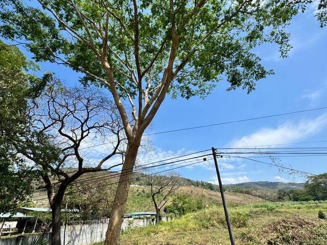 #530 - Terreno para Alquiler en Villanueva - Cortés - 2