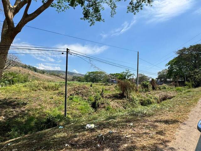 #530 - Terreno para Alquiler en Villanueva - Cortés - 3