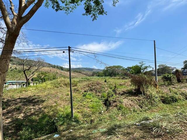 Terreno para Alquiler en Villanueva - 4