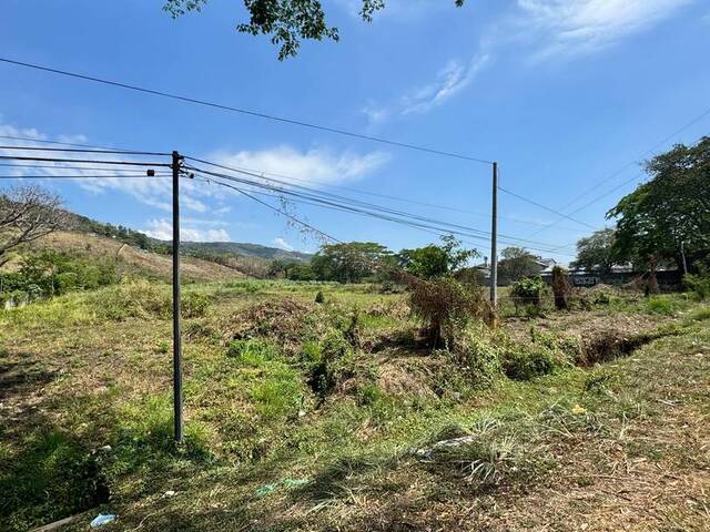 Terreno para Alquiler en Villanueva - 5