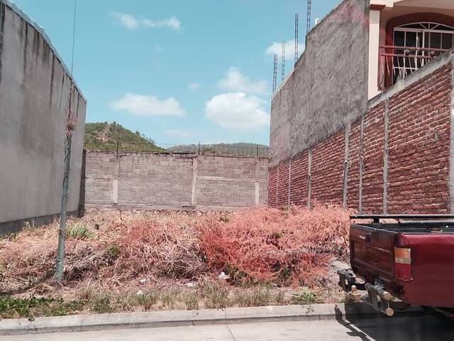 #534 - Terreno para Venta en Tegucigalpa - Distrito Central  - 1