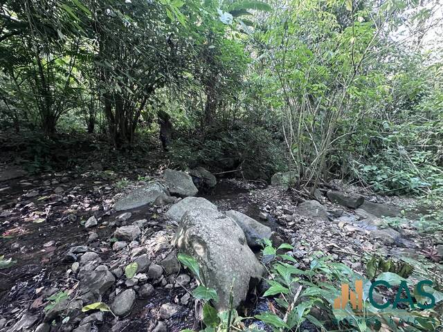 #539 - Terreno para Venta en Trinidad - Santa Bárbara - 2