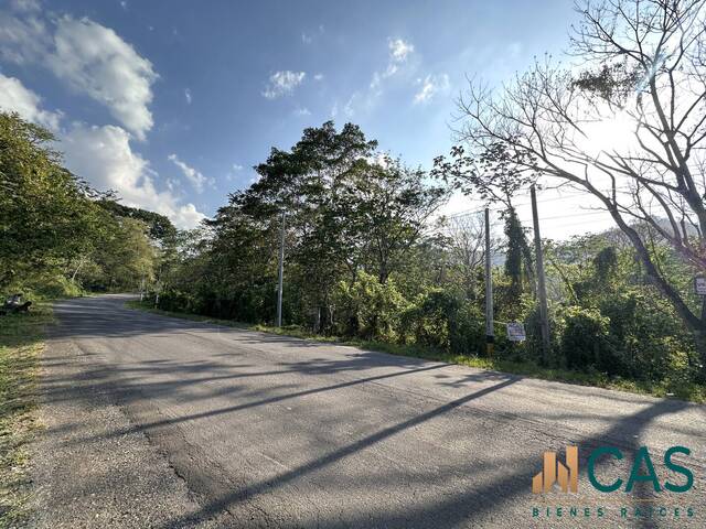#539 - Terreno para Venta en Trinidad - Santa Bárbara - 1