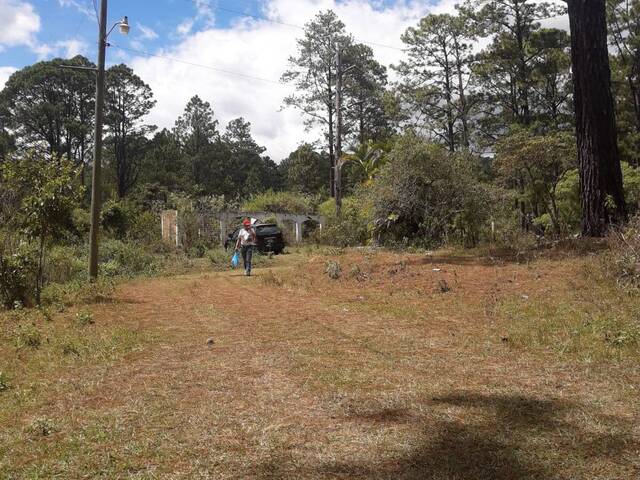#542 - Terreno para Venta en Valle de Ángeles - Francisco Morazán - 1