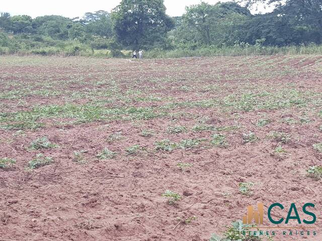 #547 - Terreno para Venta en Comayagua - Comayagua - 3