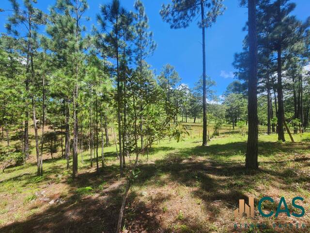 #568 - Isla para Venta en Valle de Ángeles - Francisco Morazán - 2