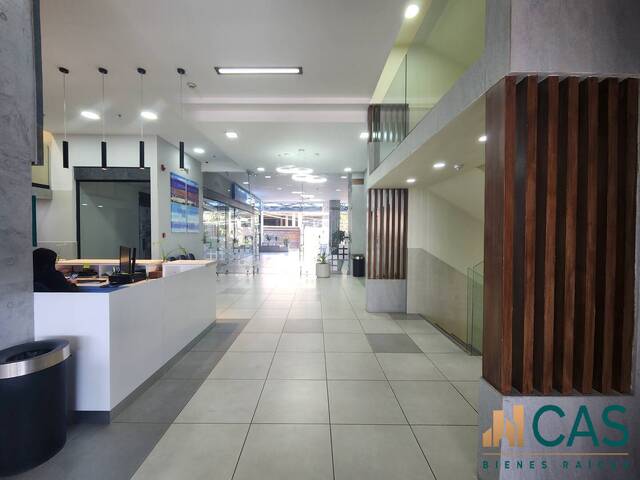 Oficina para Alquiler en Tegucigalpa - 4